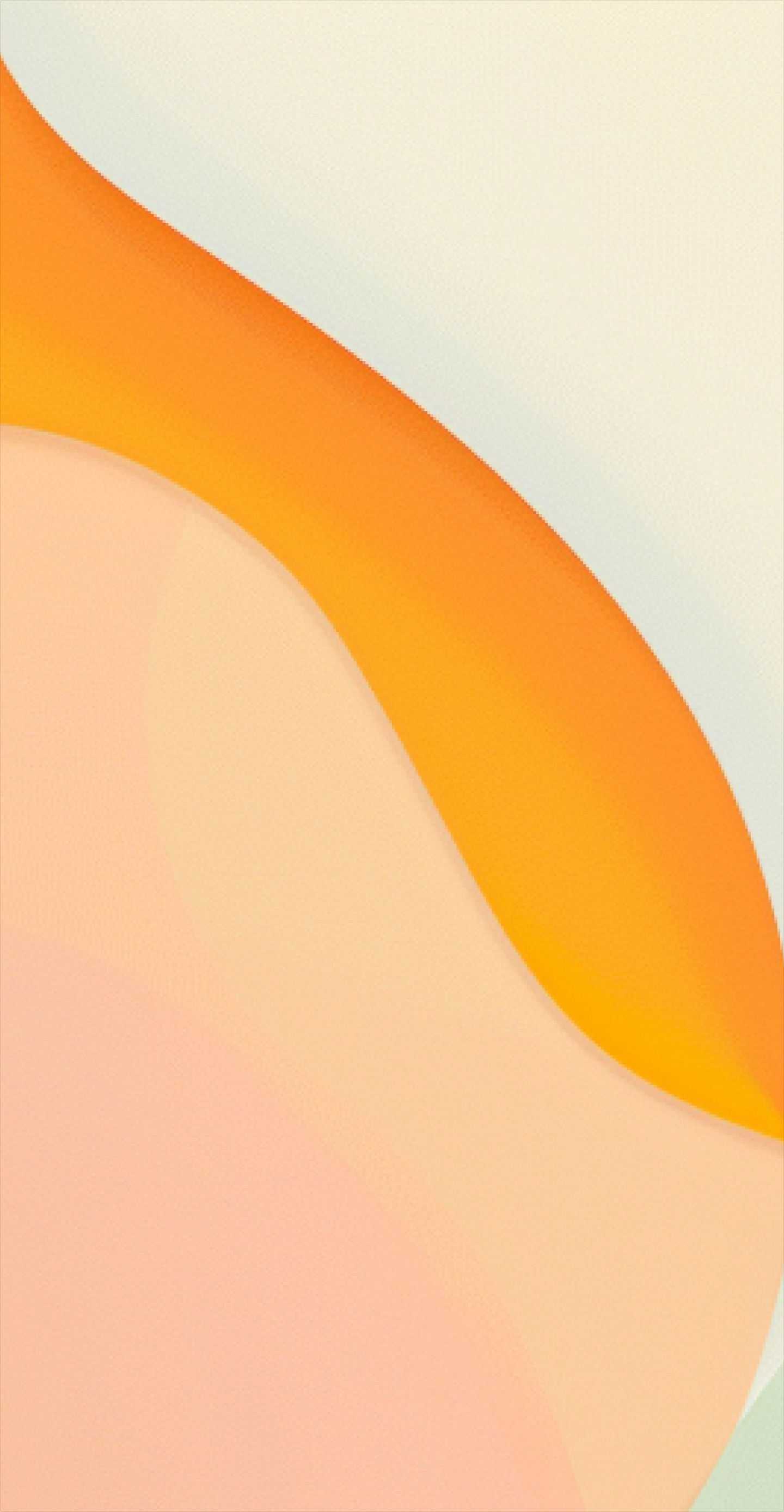 全体画像